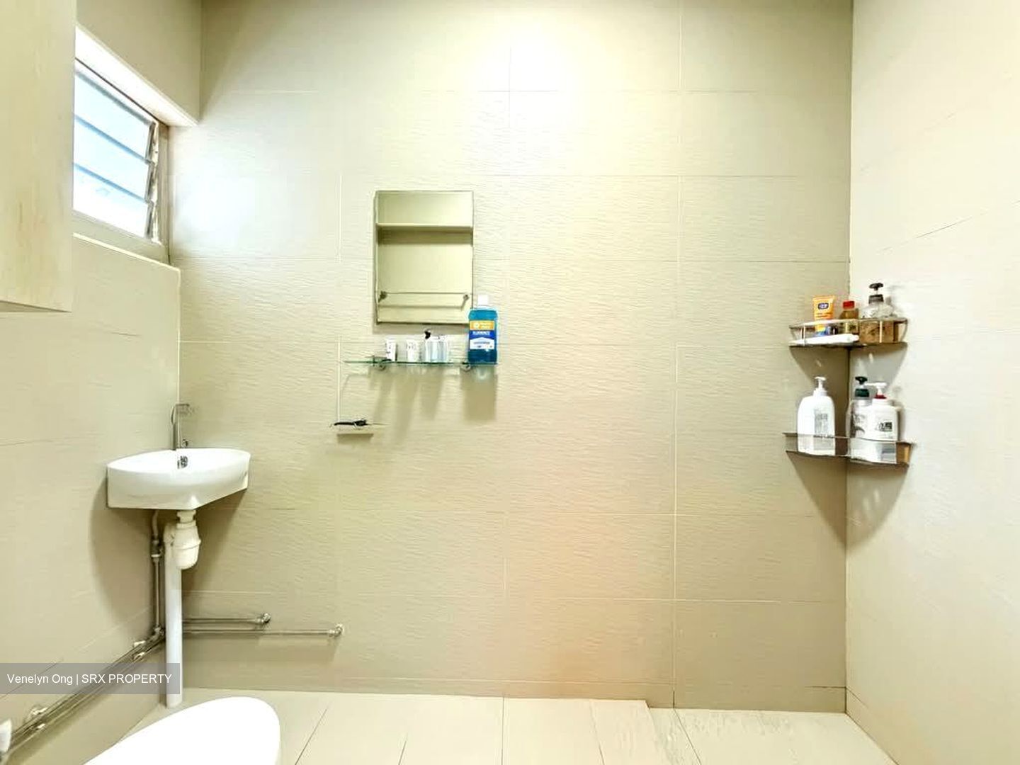 Blk 133 Lorong Ah Soo (Hougang), HDB Executive #579063251